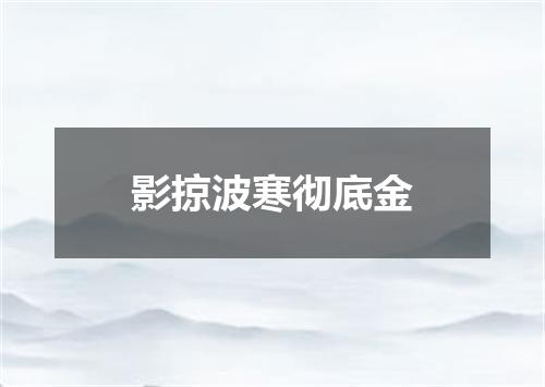 影掠波寒彻底金