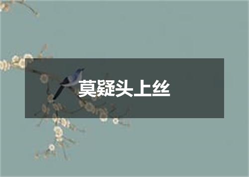 莫疑头上丝
