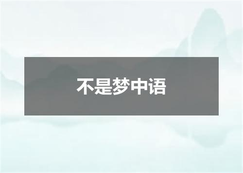 不是梦中语