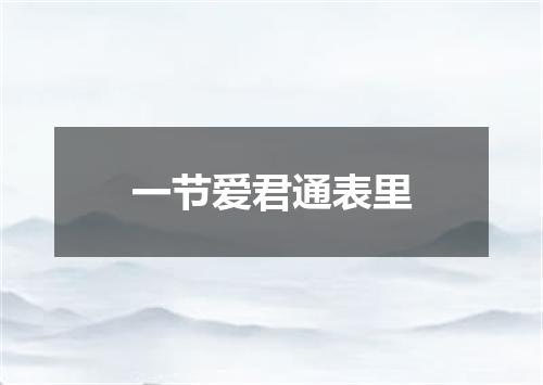 一节爱君通表里