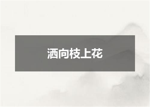 洒向枝上花