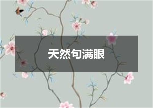 天然句满眼