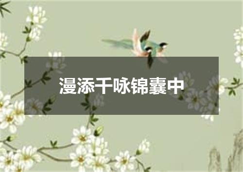 漫添千咏锦囊中