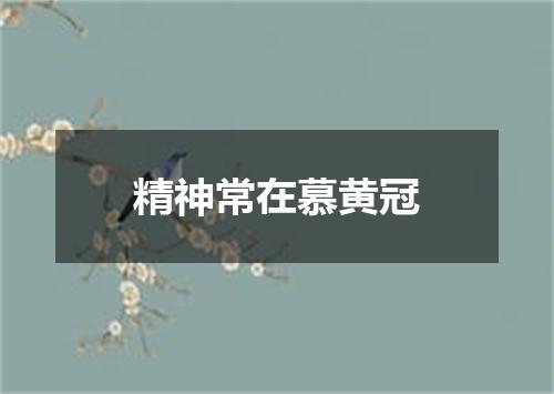精神常在慕黄冠