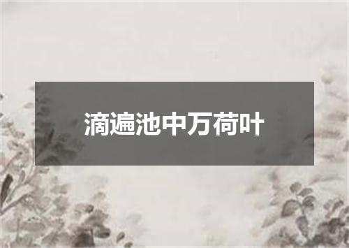 滴遍池中万荷叶