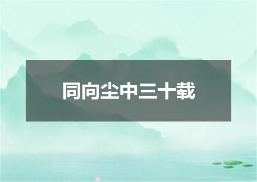 同向尘中三十载