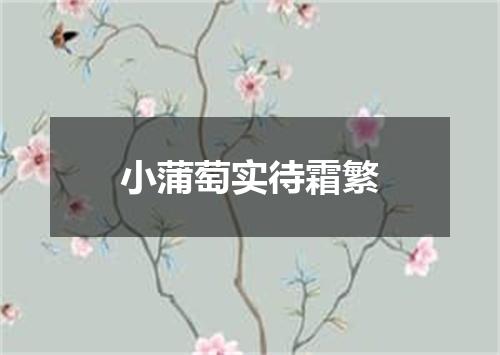 小蒲萄实待霜繁