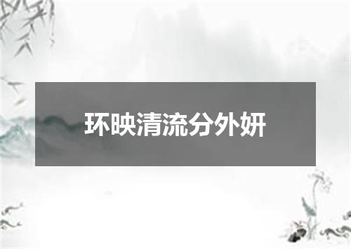 环映清流分外妍