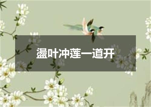 盪叶冲莲一道开