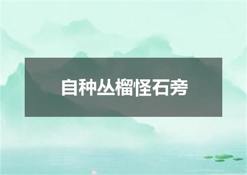 自种丛榴怪石旁