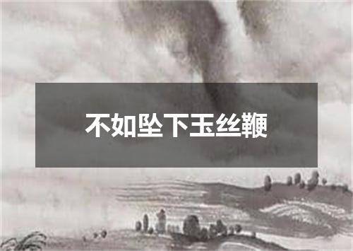 不如坠下玉丝鞭