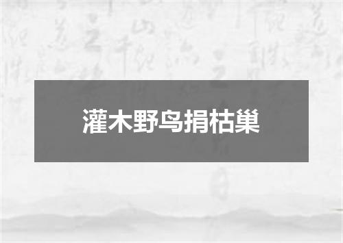 灌木野鸟捐枯巢