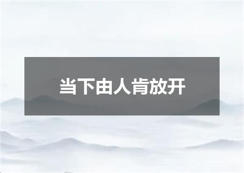 当下由人肯放开