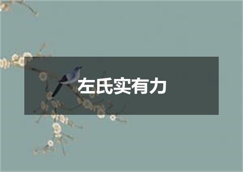 左氏实有力