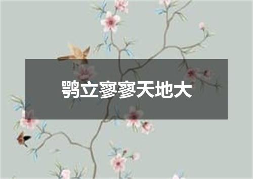 鹗立寥寥天地大
