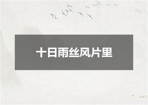 十日雨丝风片里