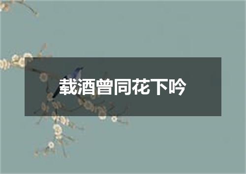 载酒曾同花下吟