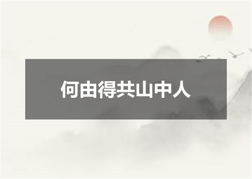 何由得共山中人