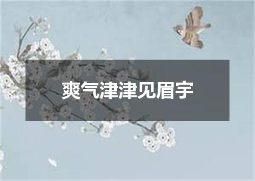 爽气津津见眉宇