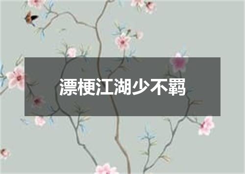 漂梗江湖少不羁