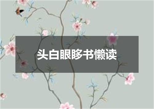 头白眼眵书懒读