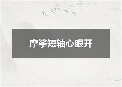 摩挲短轴心眼开