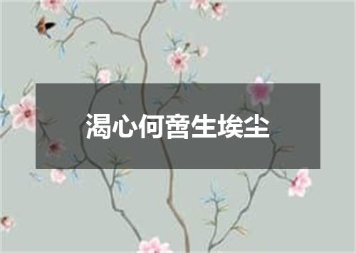 渴心何啻生埃尘
