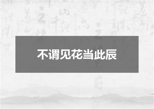 不谓见花当此辰