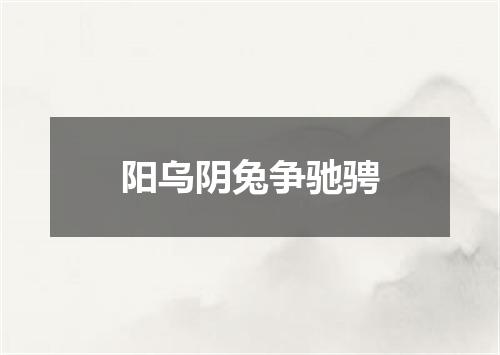 阳乌阴兔争驰骋