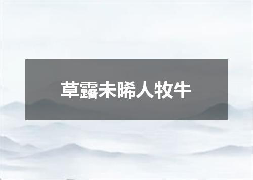 草露未晞人牧牛