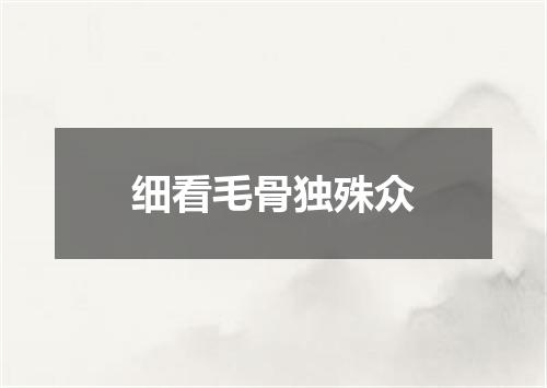 细看毛骨独殊众