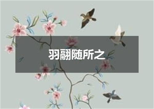 羽翮随所之