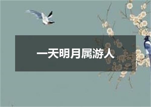 一天明月属游人