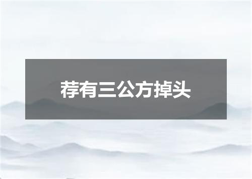 荐有三公方掉头