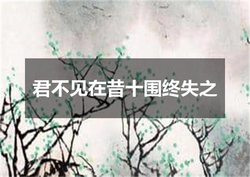 君不见在昔十围终失之