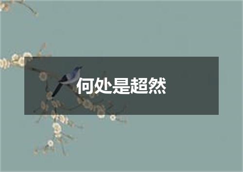 何处是超然