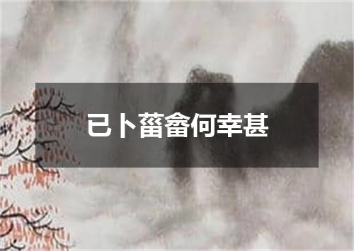 已卜菑畲何幸甚
