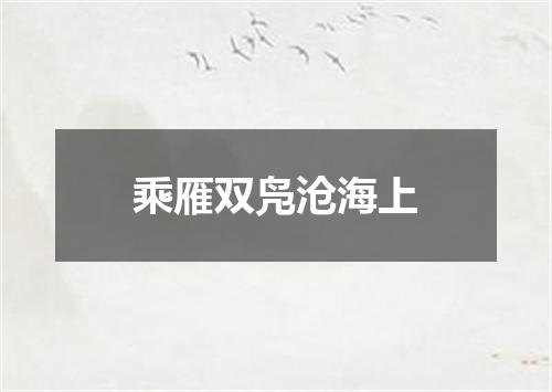 乘雁双凫沧海上
