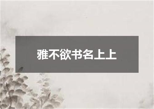 雅不欲书名上上