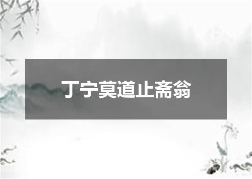 丁宁莫道止斋翁