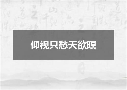 仰视只愁天欲暝