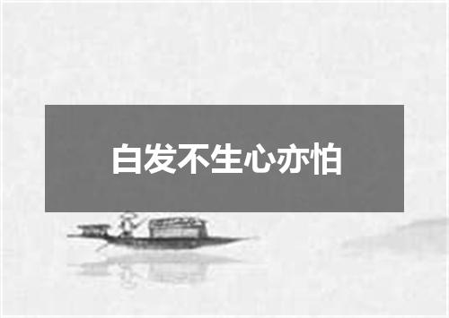 白发不生心亦怕