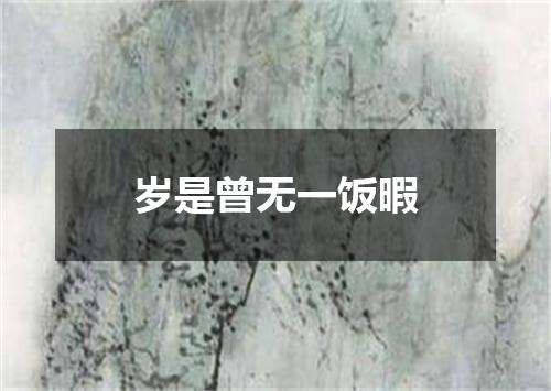 岁是曾无一饭暇