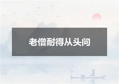 老僧耐得从头问