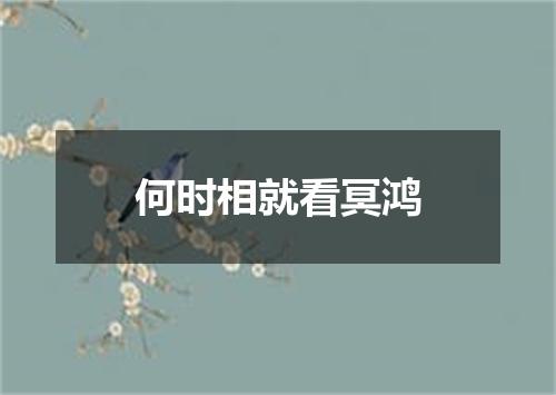 何时相就看冥鸿