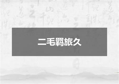 二毛羁旅久