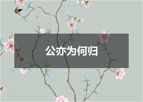 公亦为何归