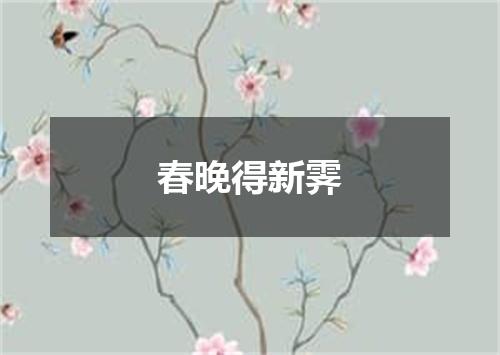 春晚得新霁