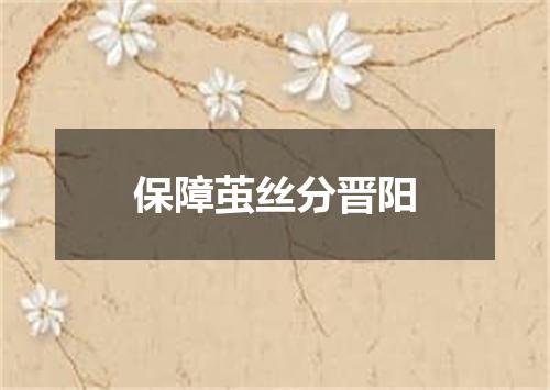 保障茧丝分晋阳