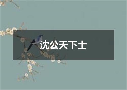 沈公天下士